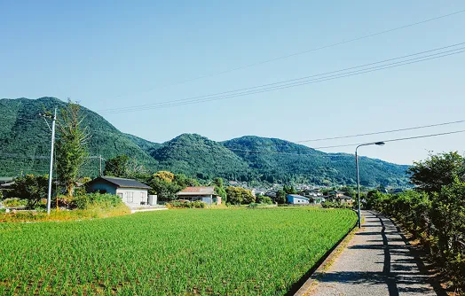 地域のスーパーや病院へのアクセスも良好な、移住後のあたたかな暮らしが想像できる道